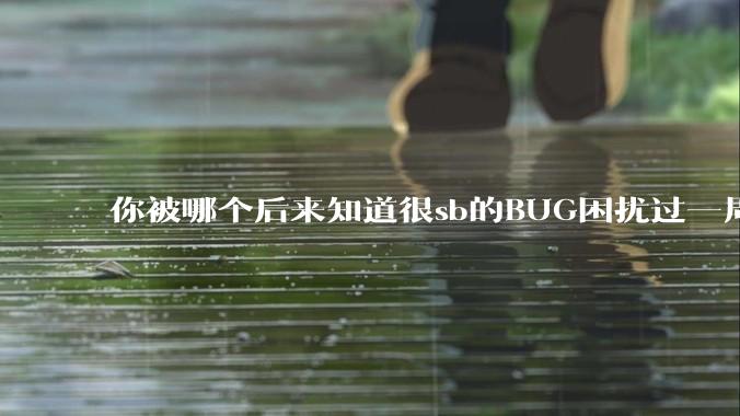 你被哪个后来知道很sb的BUG困扰过一周以上吗？