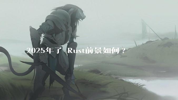 2025年了 Rust前景如何?